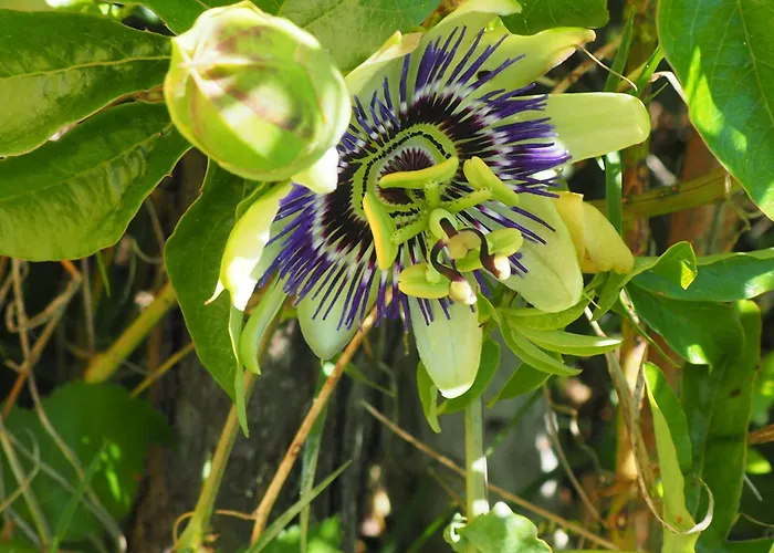 Couette-café Espace Presence - Le Couvent