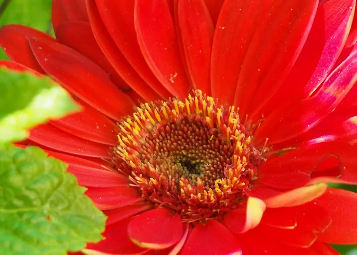 Espace Presence - Le Couvent *