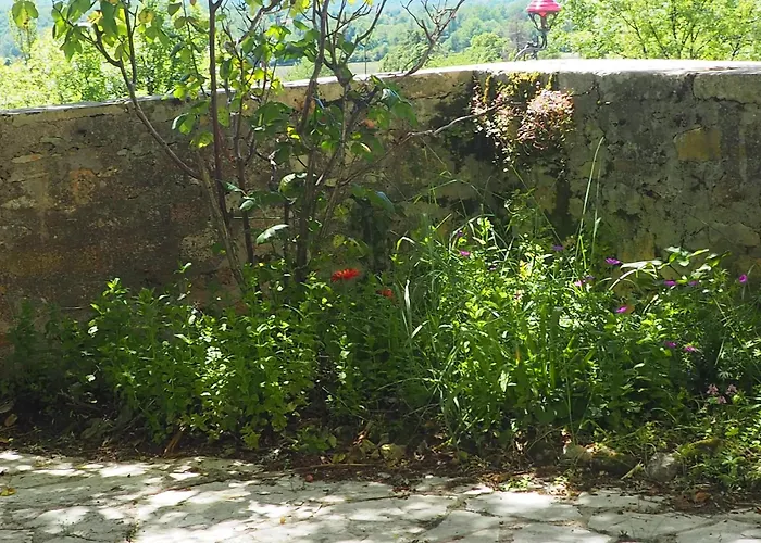 Espace Presence - Le Couvent Couette-café Duravel