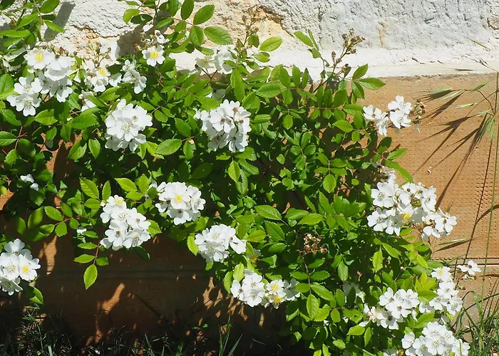 Espace Presence - Le Couvent Duravel