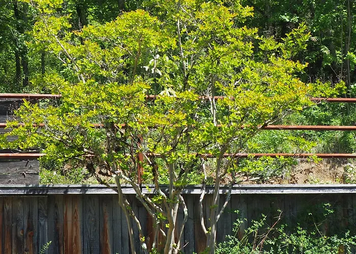 Espace Presence - Le Couvent Couette-café