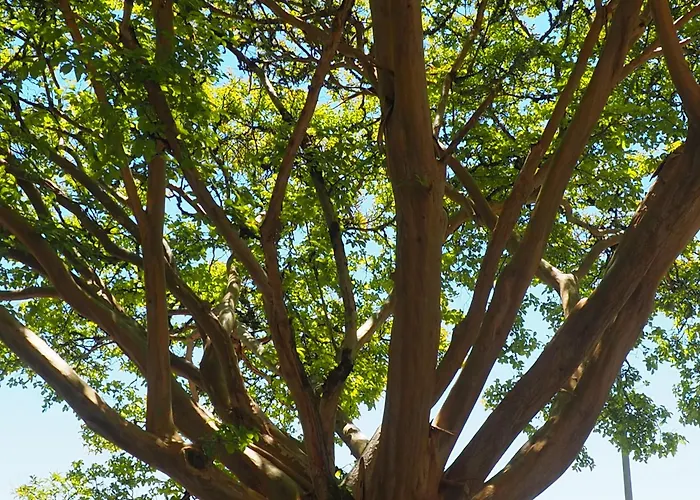 Espace Presence - Le Couvent *