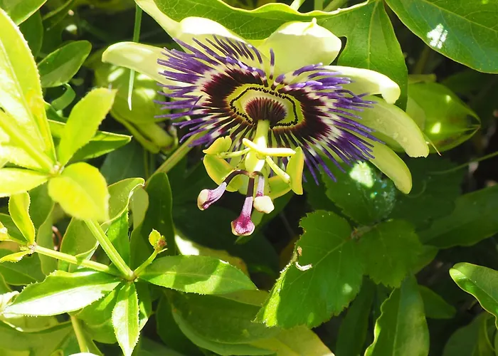 Couette-café Espace Presence - Le Couvent