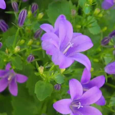 B&B Espace Presence - Le Couvent *