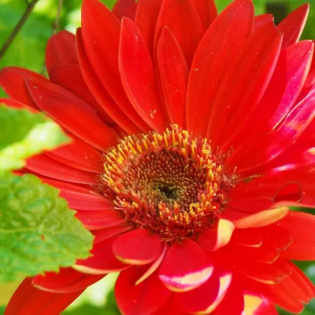 Espace Presence - Le Couvent *