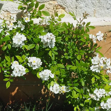 Espace Presence - Le Couvent Duravel