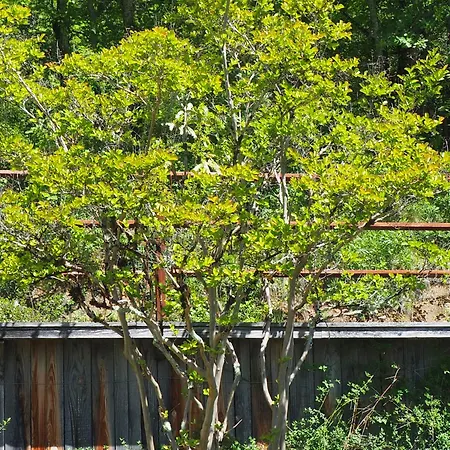 Espace Presence - Le Couvent B&B