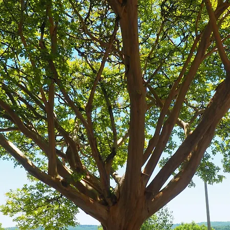 Espace Presence - Le Couvent *