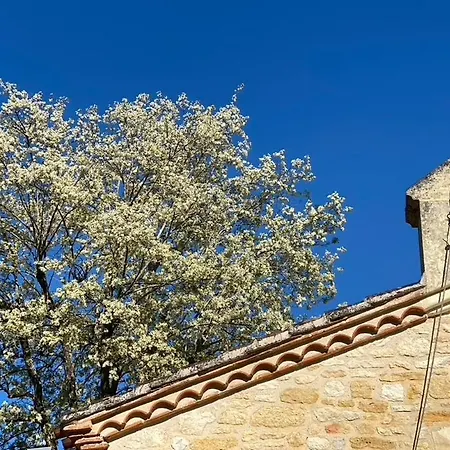 B&B Espace Presence - Le Couvent