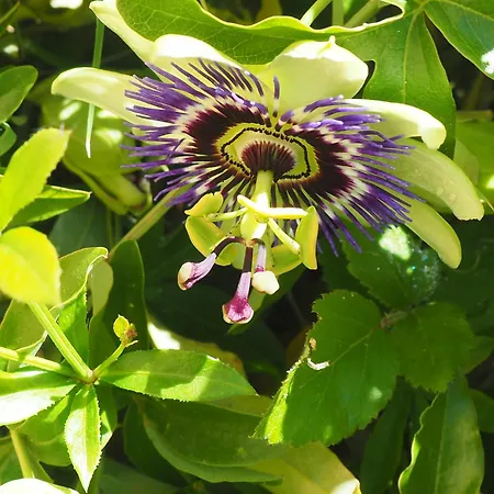 B&B Espace Presence - Le Couvent